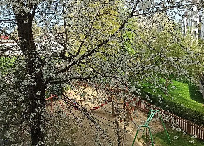 Dunikowskiego 57m2 Lublin